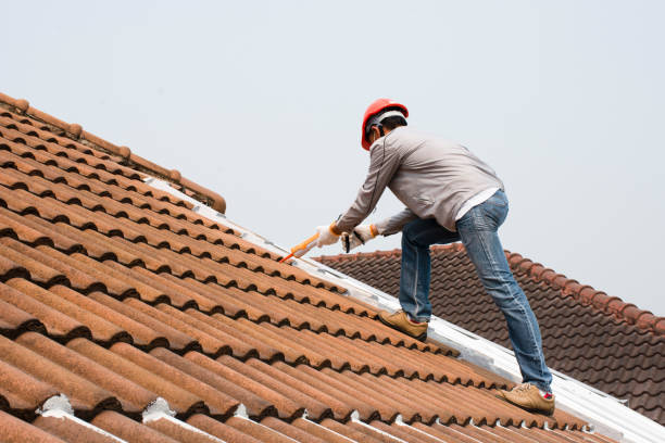 Best Metal Roofing Installation  in Bruceton, TN