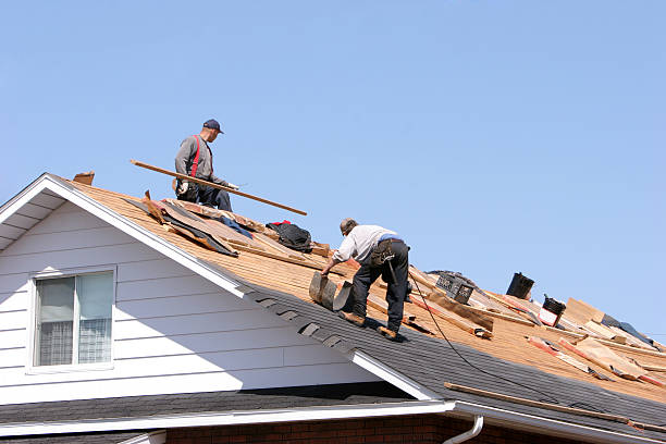 Trusted Bruceton, TN Roofing services Experts
